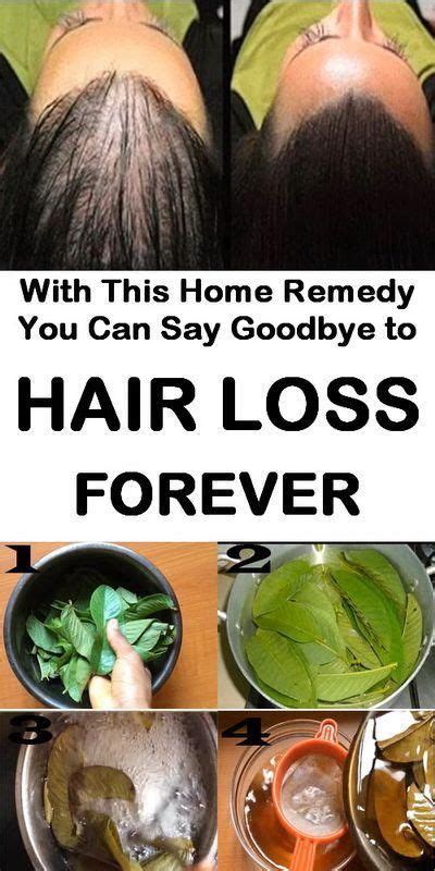 Home Remedy For Hair Loss Hairloss Homeremedy Guavaleaves