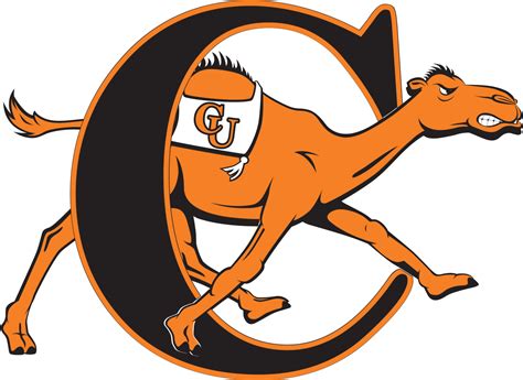 They are specially adapted to the life in camel can move easily across the sand because of its specially designed feet. Campbell Fighting Camels and Lady Camels - Wikipedia