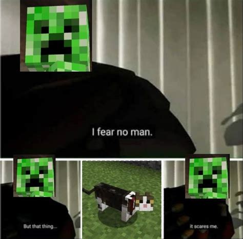Minecraft Creepers Vs Cats Funny Facts Fear No Man I Am Scared
