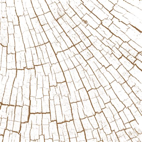 Wood Textured Png Layer Free Transparent Png 2252966