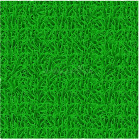 Green Grass Mat Vector Stock Image Image Of Colorful 117703197