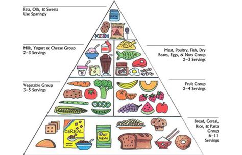 The Usda Replaces Food Pyramid With Food Plate Complex