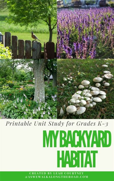 Free My Backyard Habitat Unit Study Study Unit Nature School
