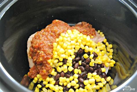 Variation ideas for crock pot salsa chicken: Mexican Crockpot Chicken - Mess for Less