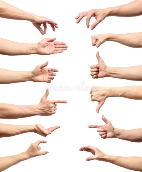 Multiple Male Caucasian Hand Gestures Isolated Over The White Ba Stock Image Image Of Adult