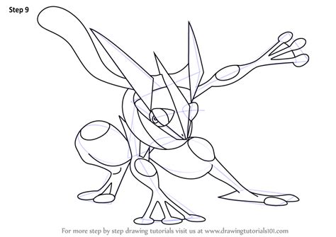 It evolves from frogadier starting at level 36. How to Draw Greninja from Pokemon - DrawingTutorials101.com