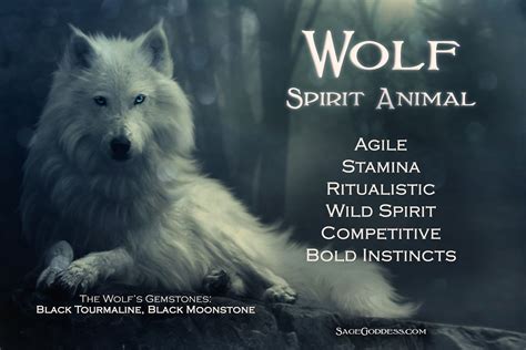 Wolf Spirit Animal Animal Meanings Animal Symbolism Animal Spirit