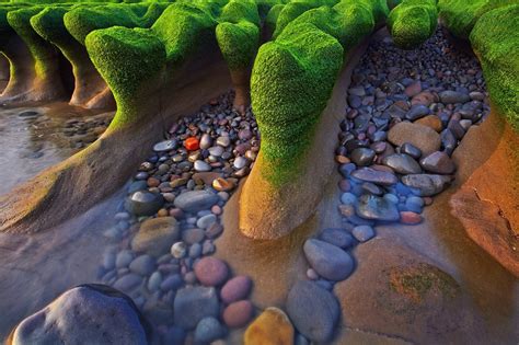 Beach Sea Water Rocks Seaweed Nature Wallpapers Hd