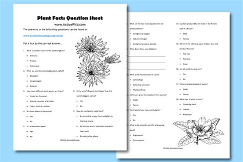 Plants Facts For Kids Students With Free Printable Plants Worksheet