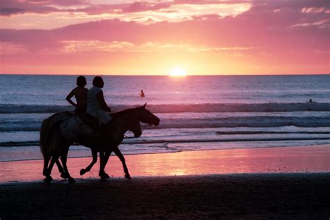 Top 5 Beaches For Horseback Riding Drive The Nation