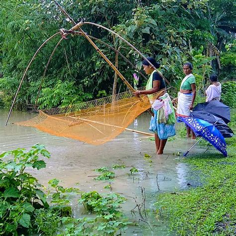 Lets Go Fishing Assam Style East India Story Culture