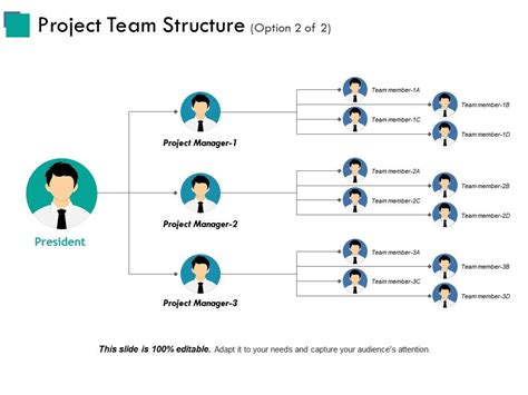 Project Team Structure Example Of Great Ppt Powerpoint Presentation