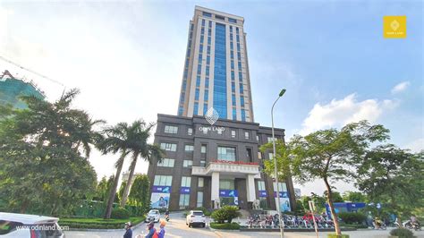 Nói chúng tôi đi ở đợ cho nhà phi nhung thì hơi quá. Văn phòng cho thuê toà nhà Nam Cường Building