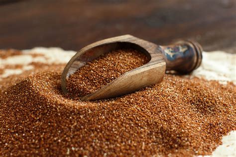 Teff Grain Of The Future Holds Promise For Feeding Livestock And