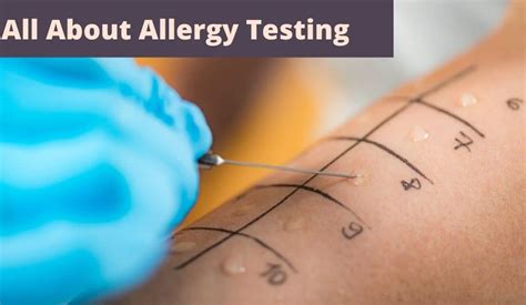 All About Allergy Testing Enticare Ear Nose And Throat Doctors