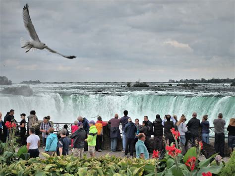 10 Consejos Para Visitar Las Cataratas Del Niágara Desde Nueva York