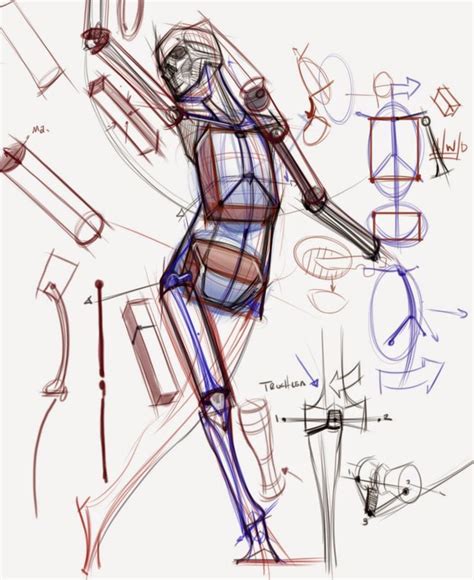 Pin By Wilian Carlos Pompeu On Anatomy Human Anatomy Drawing Human
