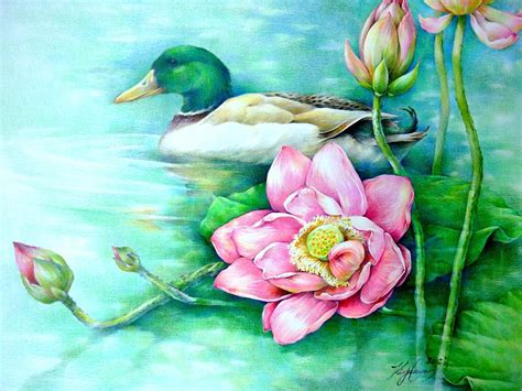Lotus Flowers and a Duck Origianal Colored Pencil by ...