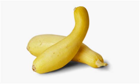 Yellow Squash Clipart 10 Free Cliparts Download Images On Clipground 2024