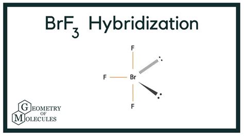 Hybridization Of Brf3 Bromine Trifluoride Molecules Understanding