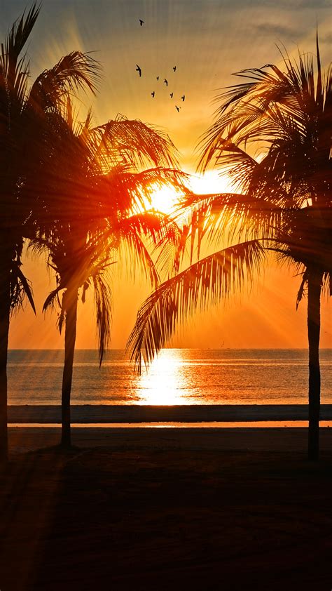 I Love Papers Nl74 Beach Vacation Summer Night Sunset Red Palm Tree