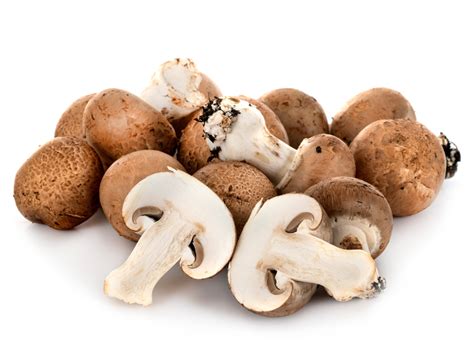 Le Champignon De Paris Des Vertus Nutritives Et Culinaires