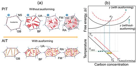 Alloys Free Full Text Kinetic Model Of Isothermal Bainitic Transformation Of Low Carbon