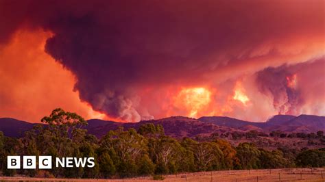 Australia Fires State Of Emergency Declared For Canberra Region Bbc News
