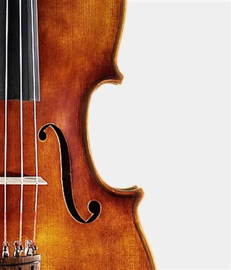 Advanced Viola Rental Antonio Strad Violin