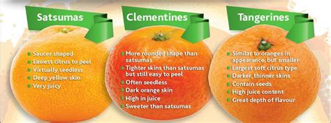 Difference Between Clementine And Mandarin Filnflex