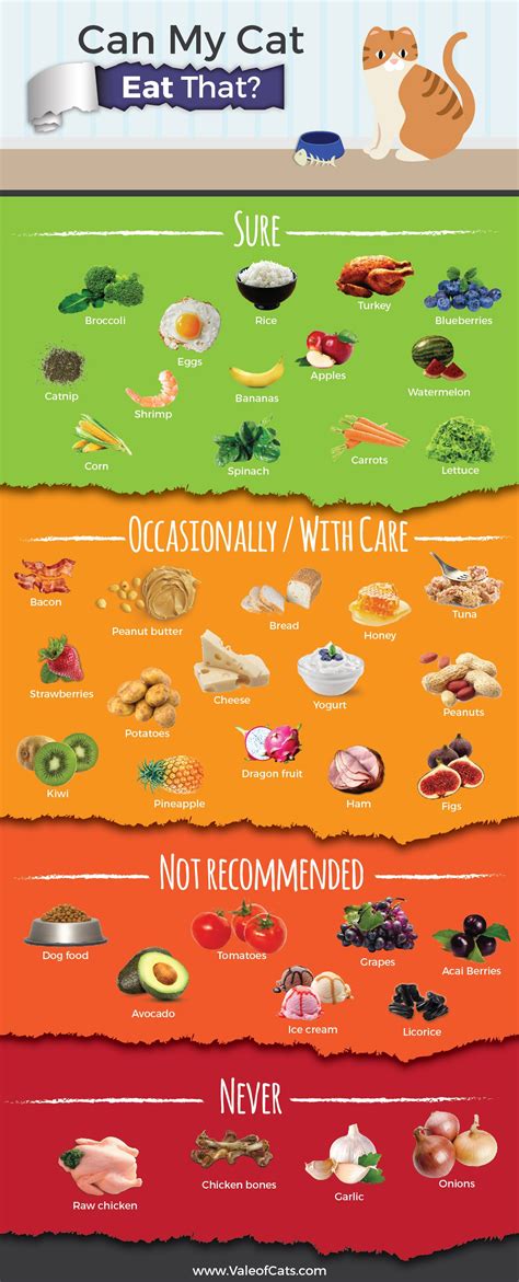 Not only is dog food formulated according to a different nutrient profile, but it contains higher levels of. Can my dog eat this? : coolguides