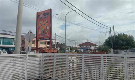 Alor setar bed and breakfast. Momoq Petshop Alor Star Kedah • PSHerbs