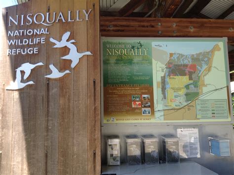 Nisqually National Wildlife Refuge In Olympia Washington