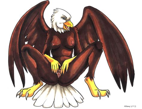 Rule 34 2003 Avian Bird Breasts Eagle Female Nude Pussy Solo Spread