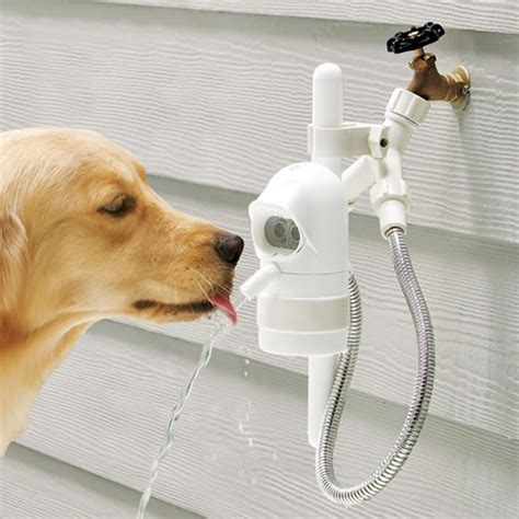 Outdoor Dog Water Drinking Fountain