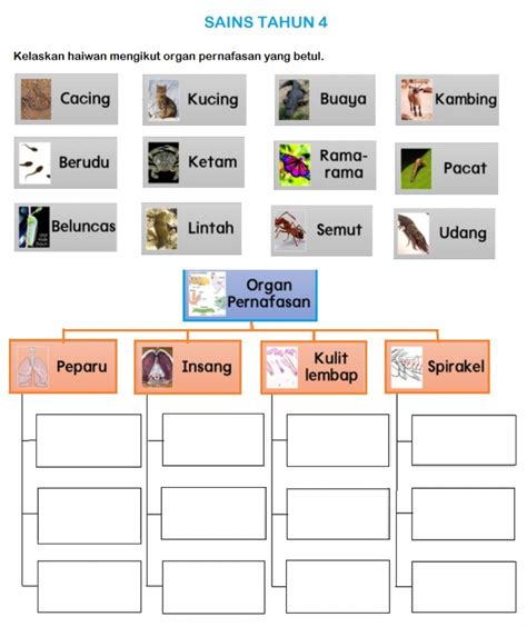 Sains Tahun 4 activity