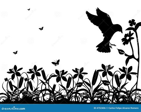Black And White Nature Vector Royalty Free Stock Image Image 4752406