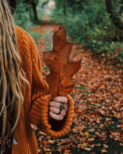 Witchyautumns Elisebuch 🍁 Instagram Autumn Cozy Autumn