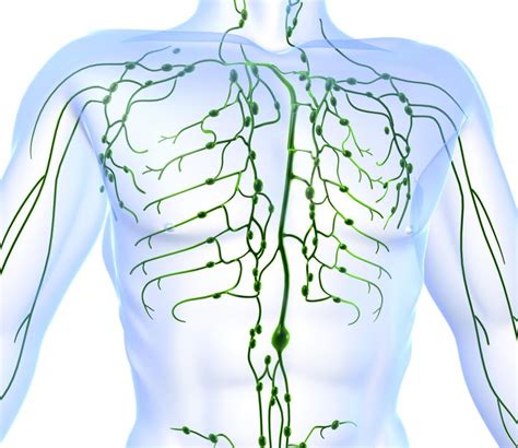 Lymph Therapy Techniques Synergy Healthcare