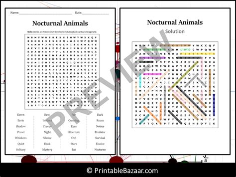 Nocturnal Animals Word Search Puzzle Worksheet Activity Teaching