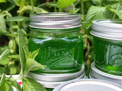 How to make mint jelly with lemon juice? Ohio Thoughts: Mint Jelly