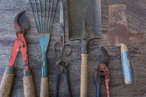 How to remove possums from garden. How to remove rust from garden tools | Garden tools, Rusty ...
