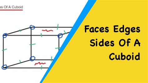 How To Work Out Sides Vertices Faces Of A Cuboid Egdes Corners