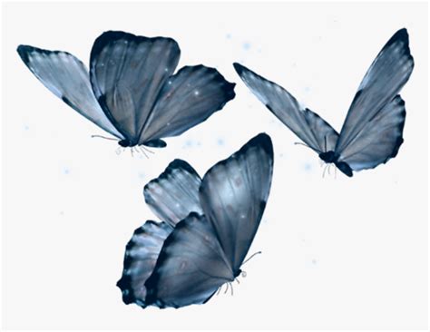 However, blue butterflies are not common as the color blue is a rare occurrence in nature. #butterfly #art #filter #newbrushes #blue #aesthetic ...