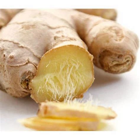 Ginger Extract At Rs 700kilogram Ginger Extract In Noida Id