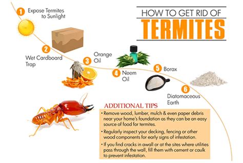 If you want to get rid of them completely, a professional pest control company is your best bet. How to get rid of Termites - A Step-by-Step Termite Controlling Guide