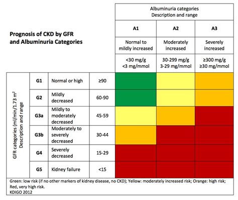 Growing up, marc ramirez thought that diabetes was inevitable. Kidney Disease and Weight Loss - The Geriatric Dietitian