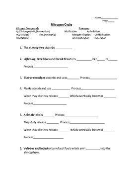 Nitrogen Cycle Diagram Worksheet Answer Key - Diagram Media
