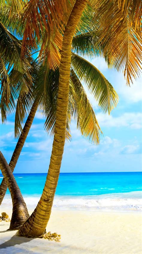 Palm Trees And Tropical Beach Wallpapers Wallpaper Cave