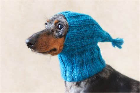 Knitting Pattern Small Dog Hat Dachshund Hat Mini Dachshund Etsy